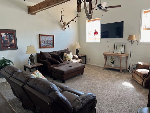 Furnished Finder property 721815_1 photo 9