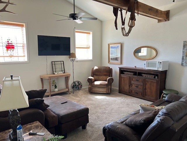 Furnished Finder property 721815_1 photo 13
