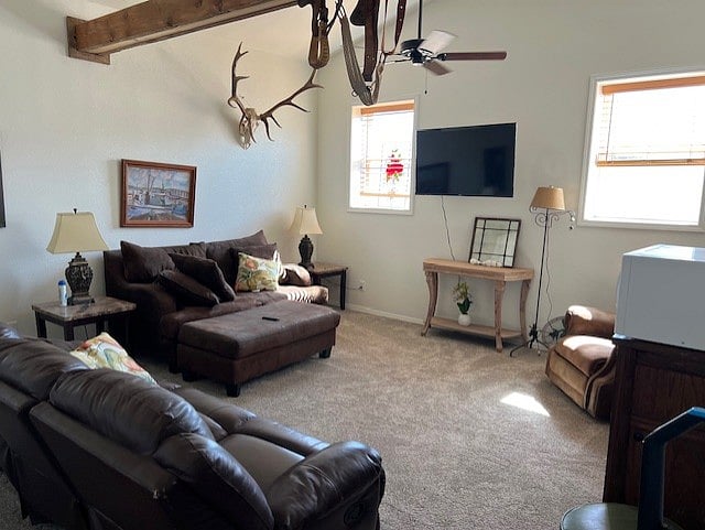 Furnished Finder property 721815_1 photo 14
