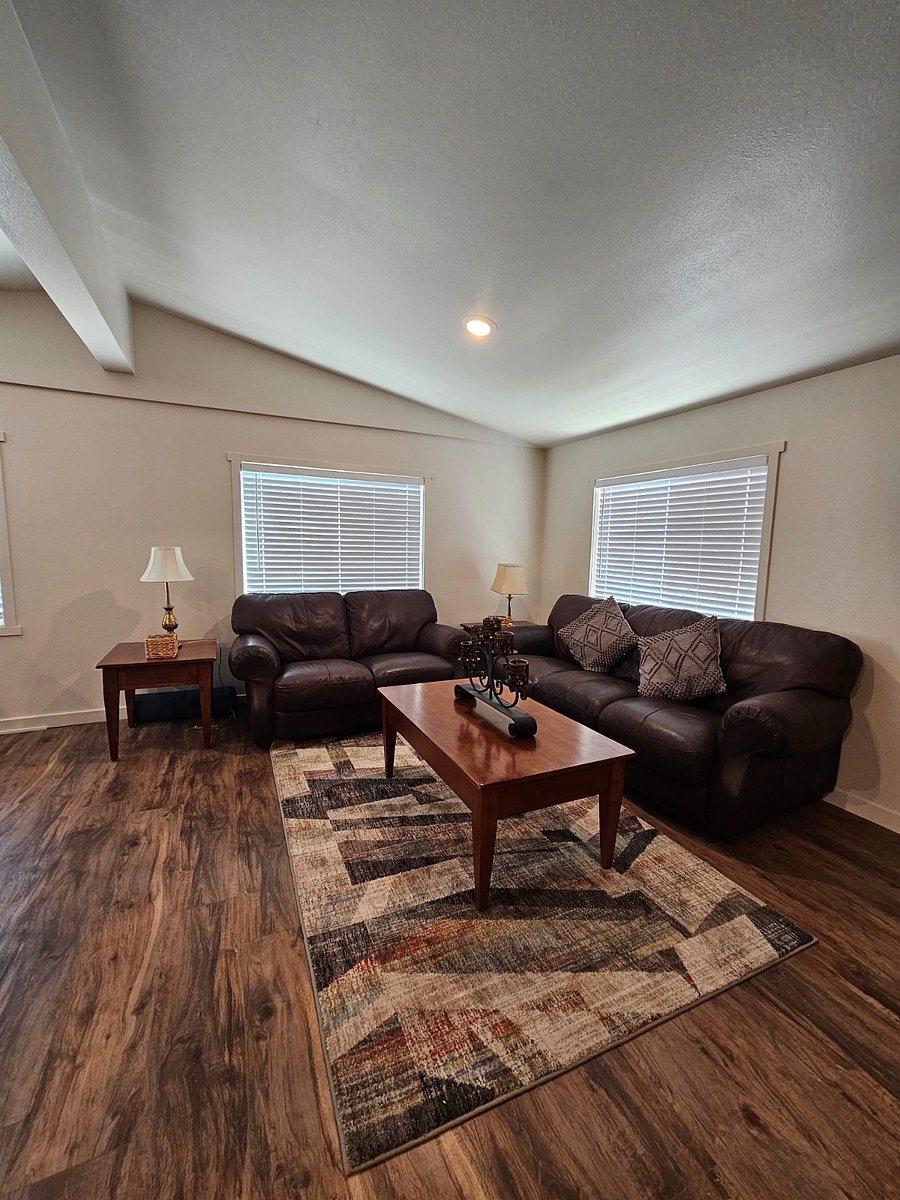 Chic leather couches