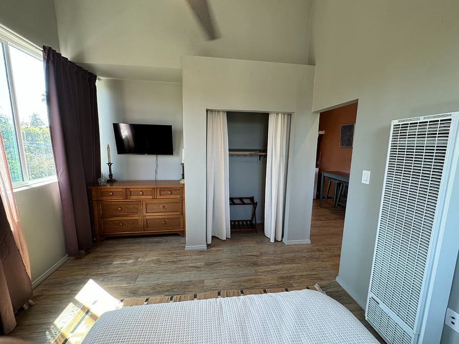 bedroom closet and dresser