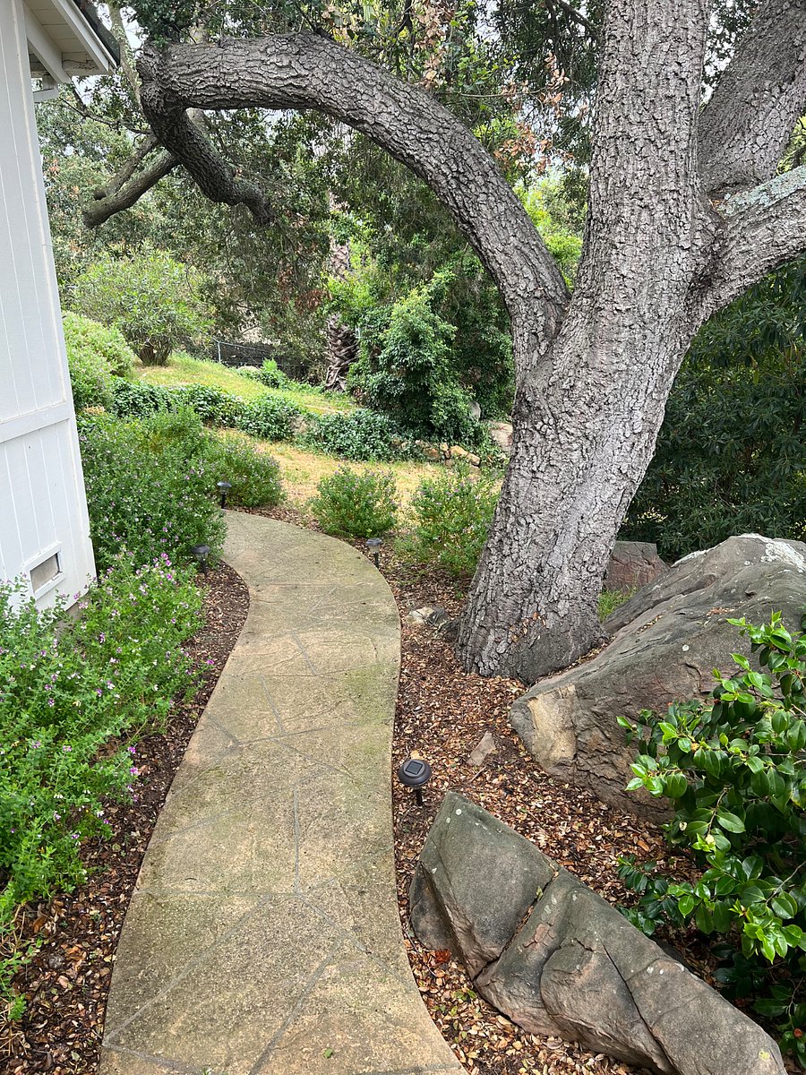 Pathway to cottage 