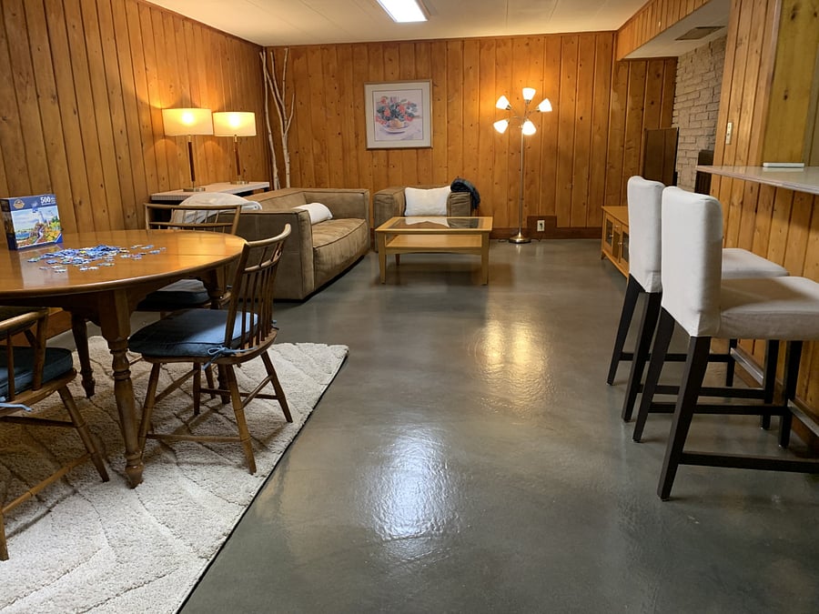 Basement living room