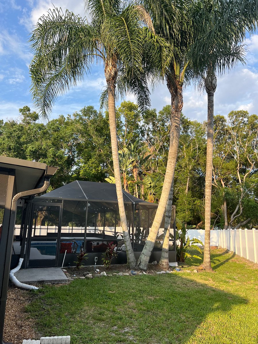 Furnished Finder property 722498_3 photo 17