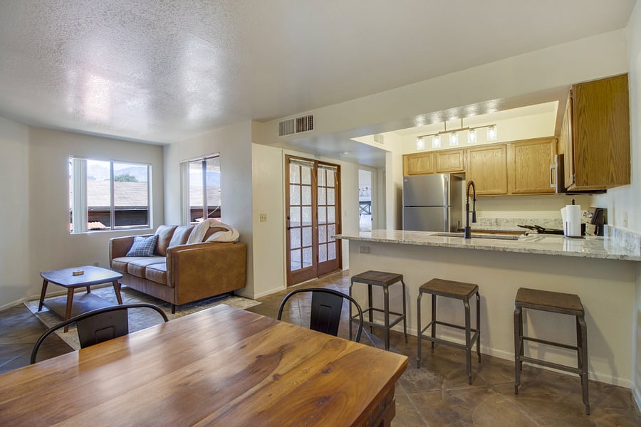 Living and Kitchen Area