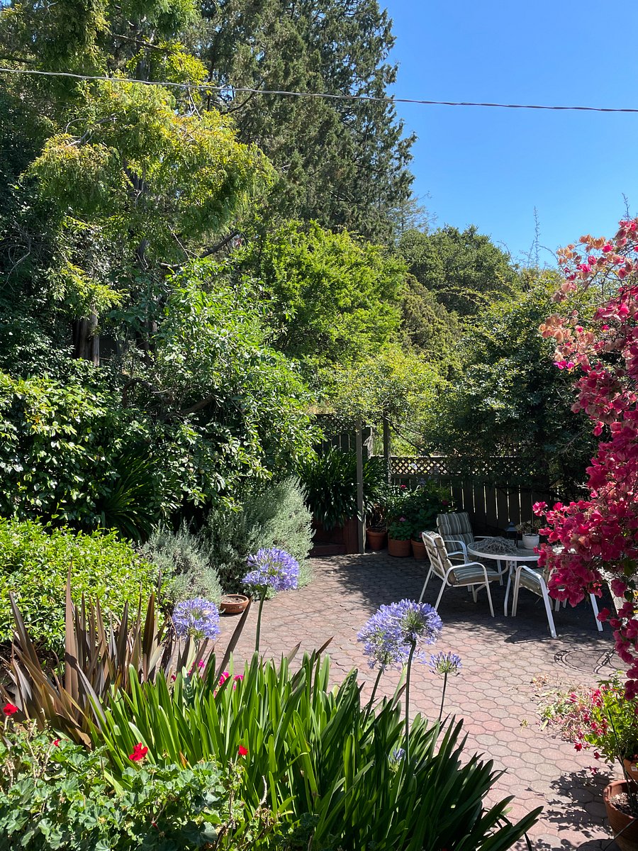 Furnished Finder property 722524_1 photo 17