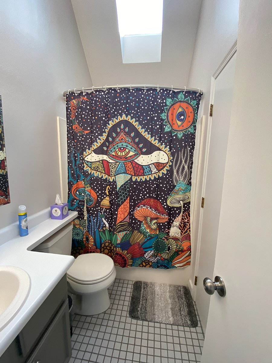 Main upstairs bath with skylight.