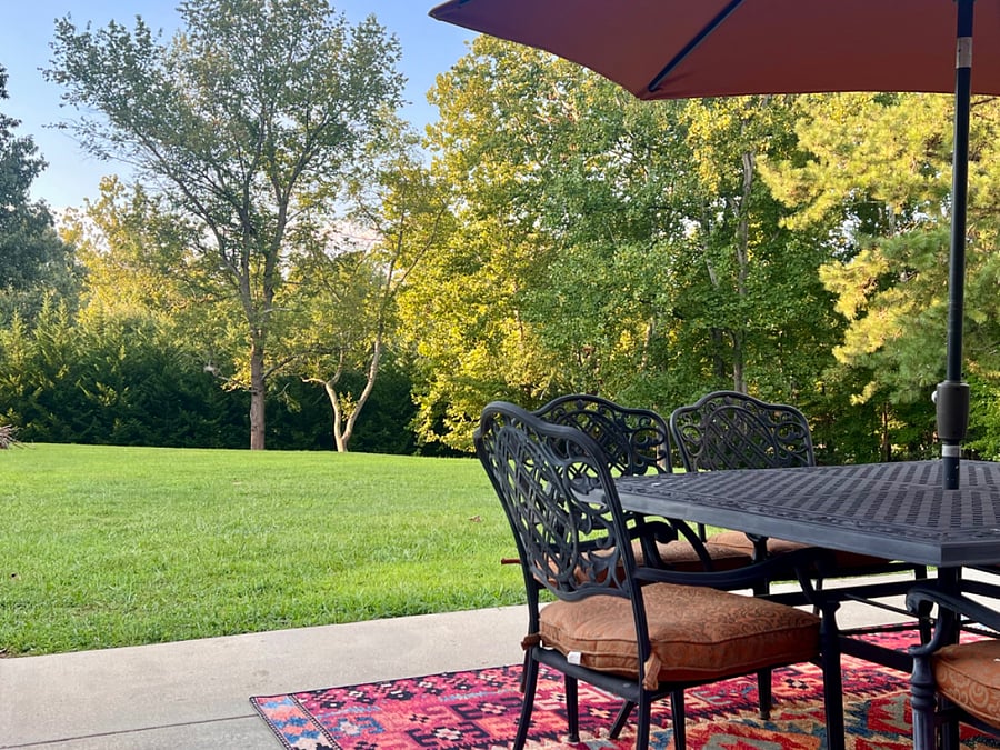 A view of the backyard from the patio