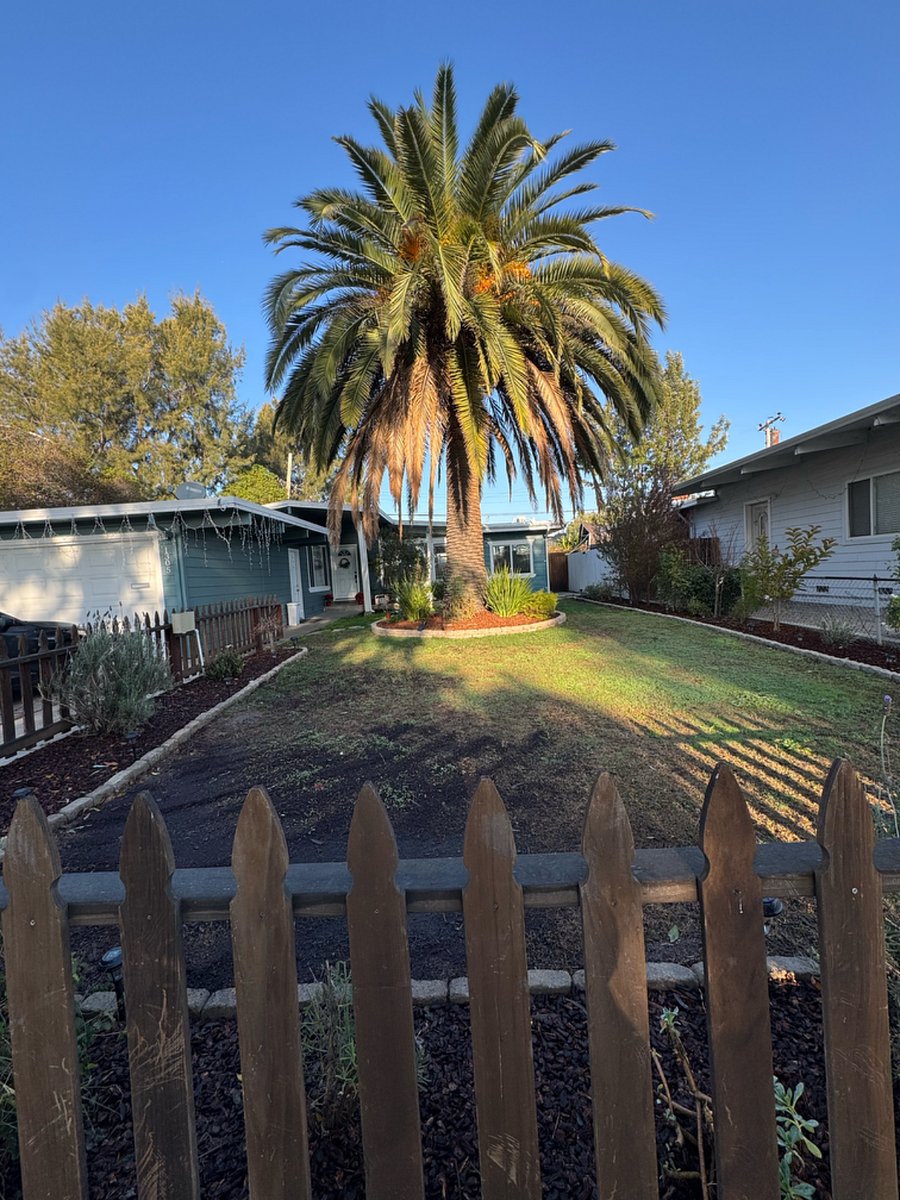 Furnished Finder property 722683_1 photo 10