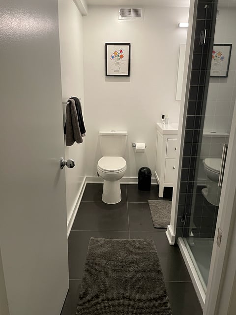 Newly-renovated bathroom with dual-flush toilet