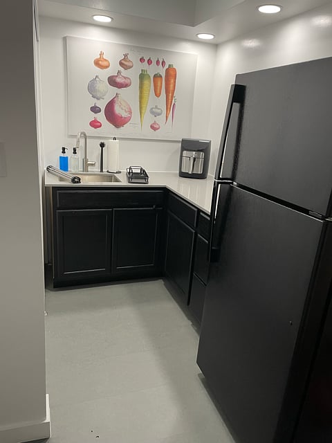 Kitchenette with sink and full-sized fridge; lots of counter space.