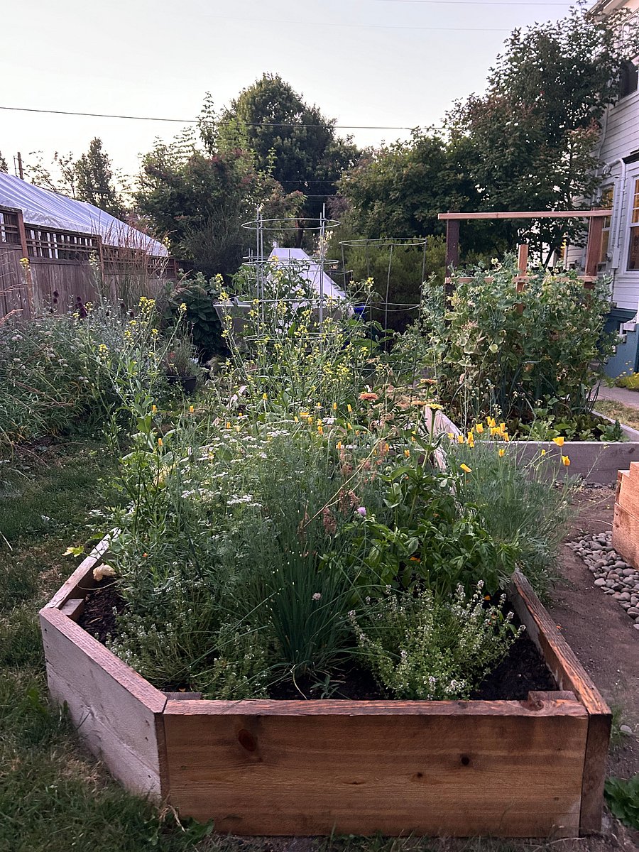 Gardens