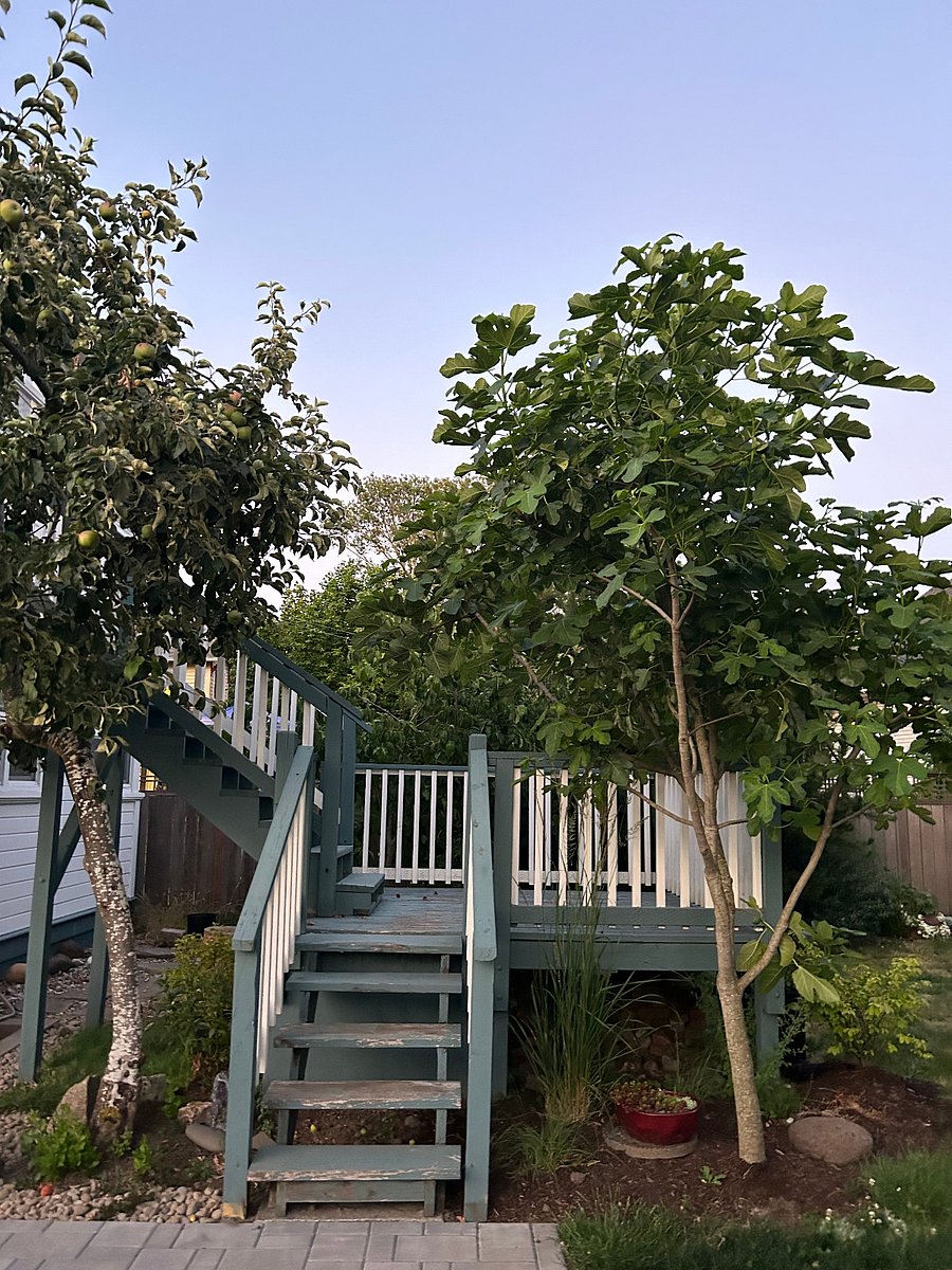 Back stairway/patio