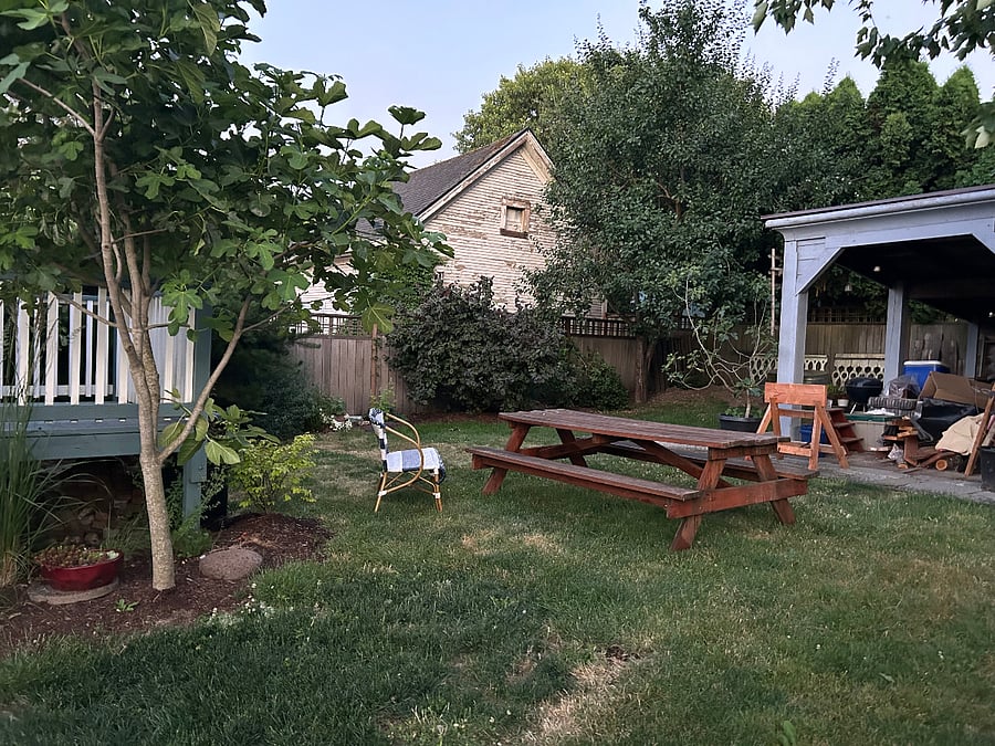 Backyard