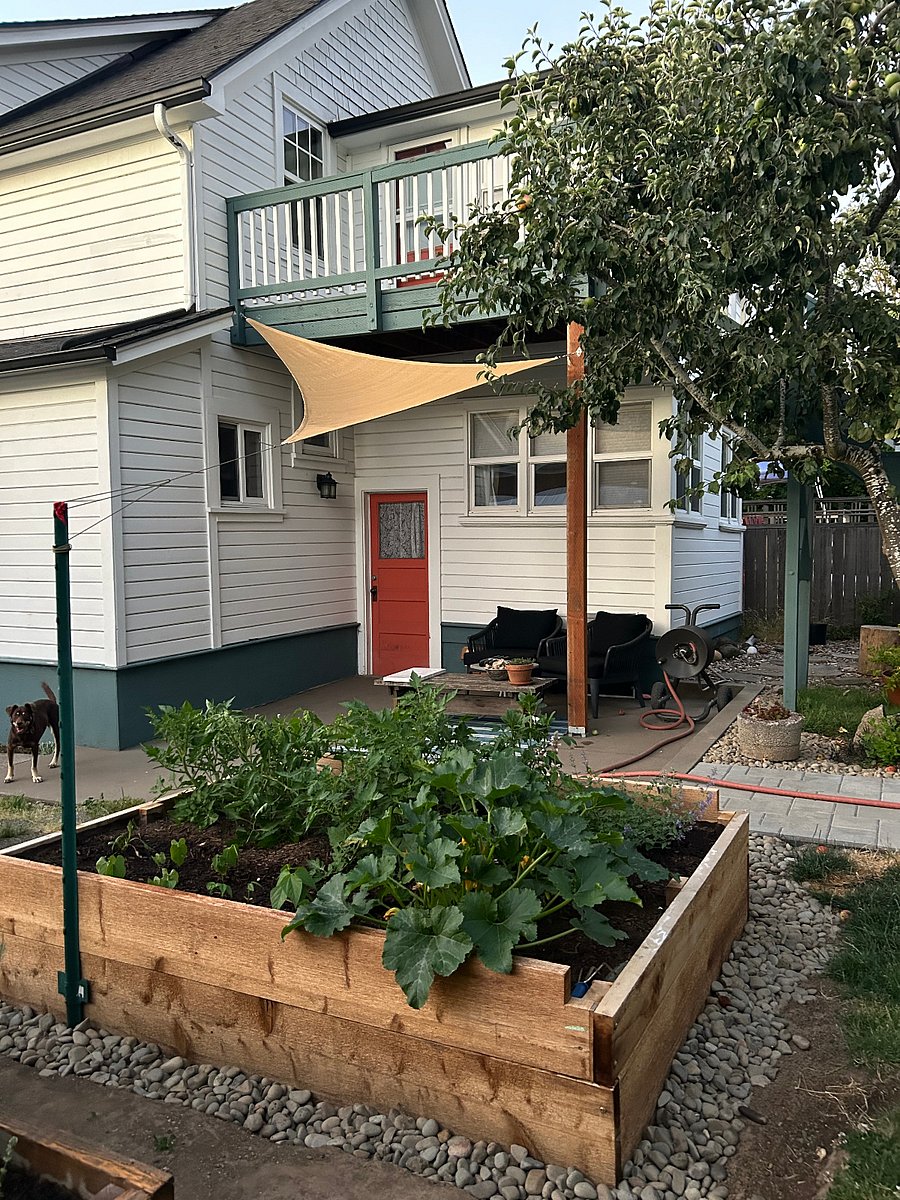 Back patio/common area
