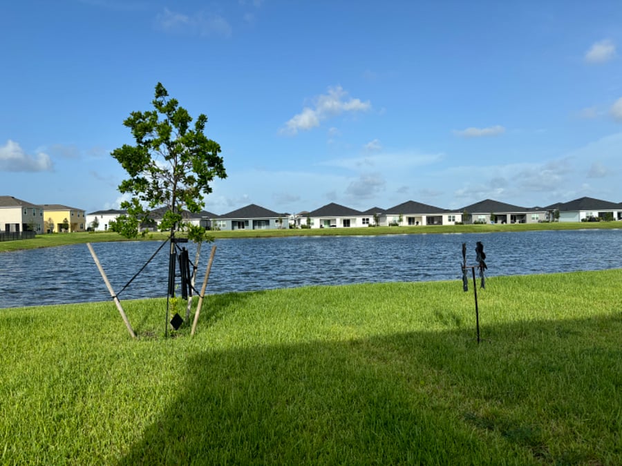 Furnished Finder property 722835_1 photo 17