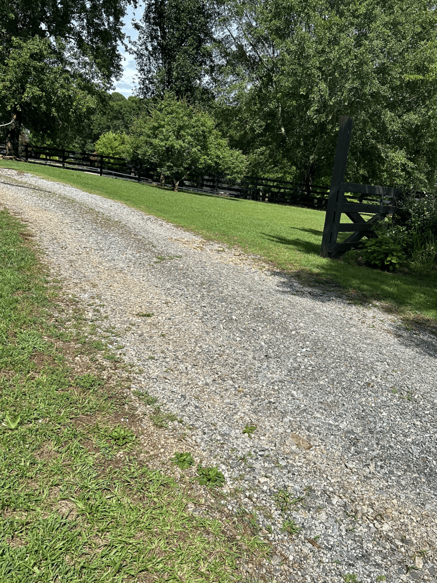 Nice driveway leading to tiny home and parking spot