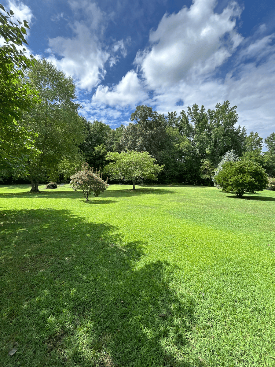 Almost 2 acres of peace and quiet but close to highway and amenities