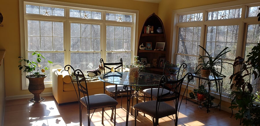 Windows galore!