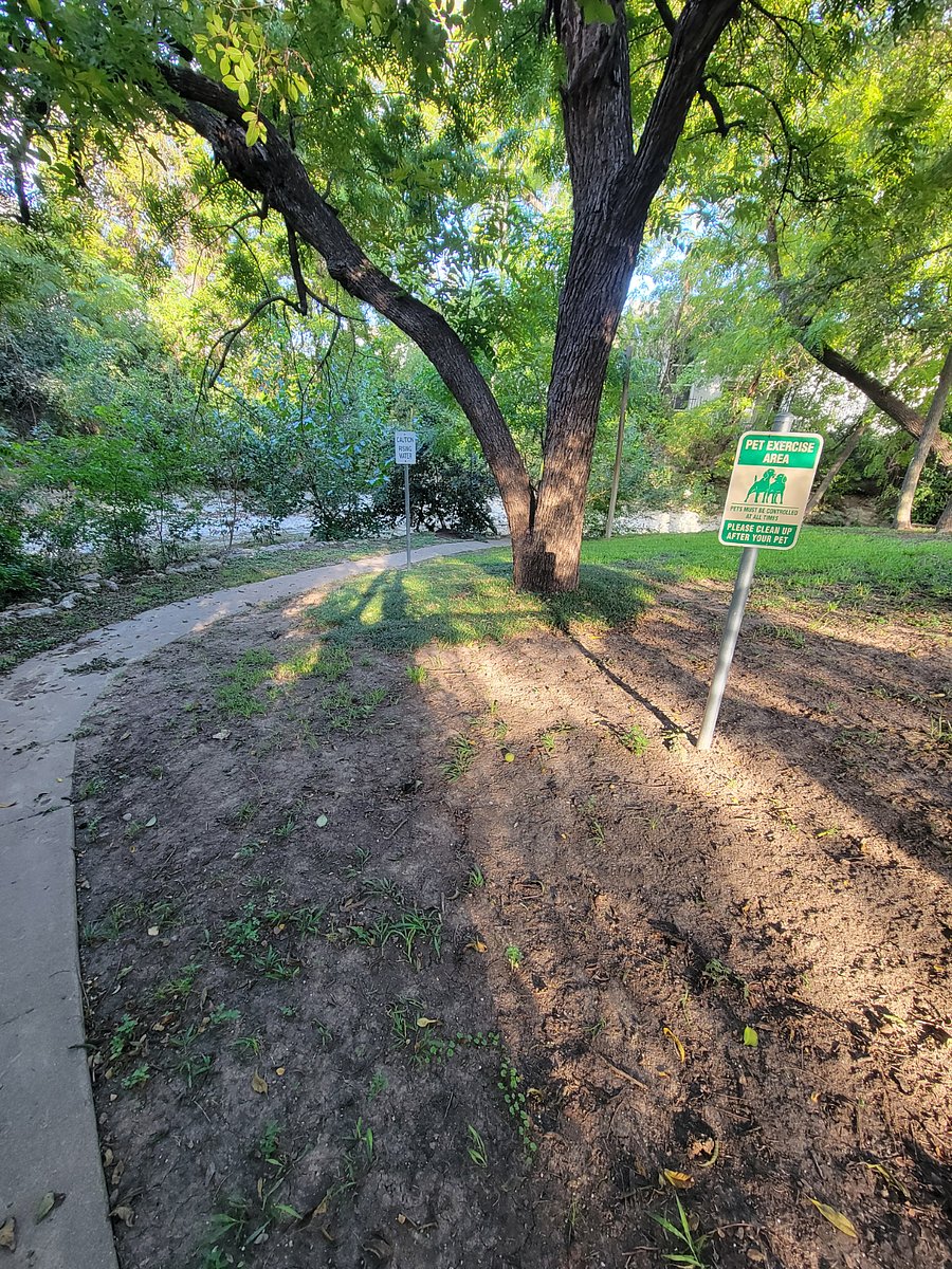 Dog/Creek walk