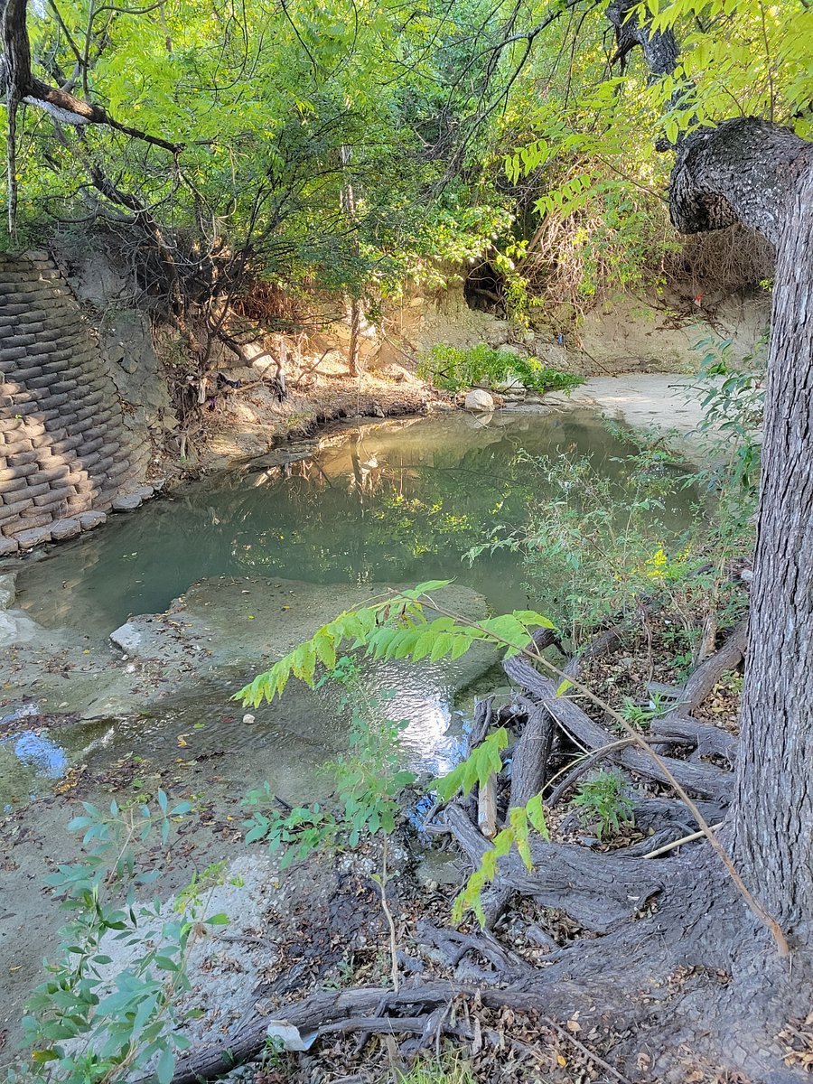 Dog/Creek walk