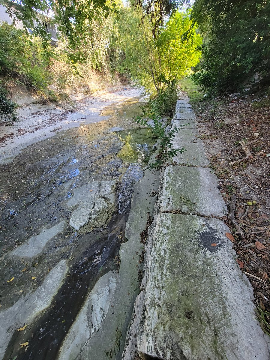Dog/creek walk