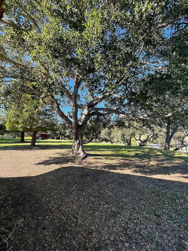 Furnished Finder property 723173_1 photo 20