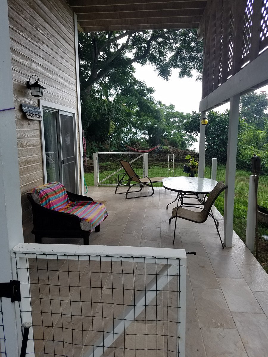 Furnished Finder property 723416_1 photo 4