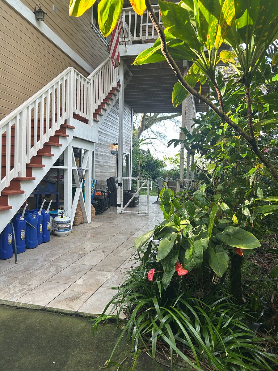 Furnished Finder property 723416_1 photo 10