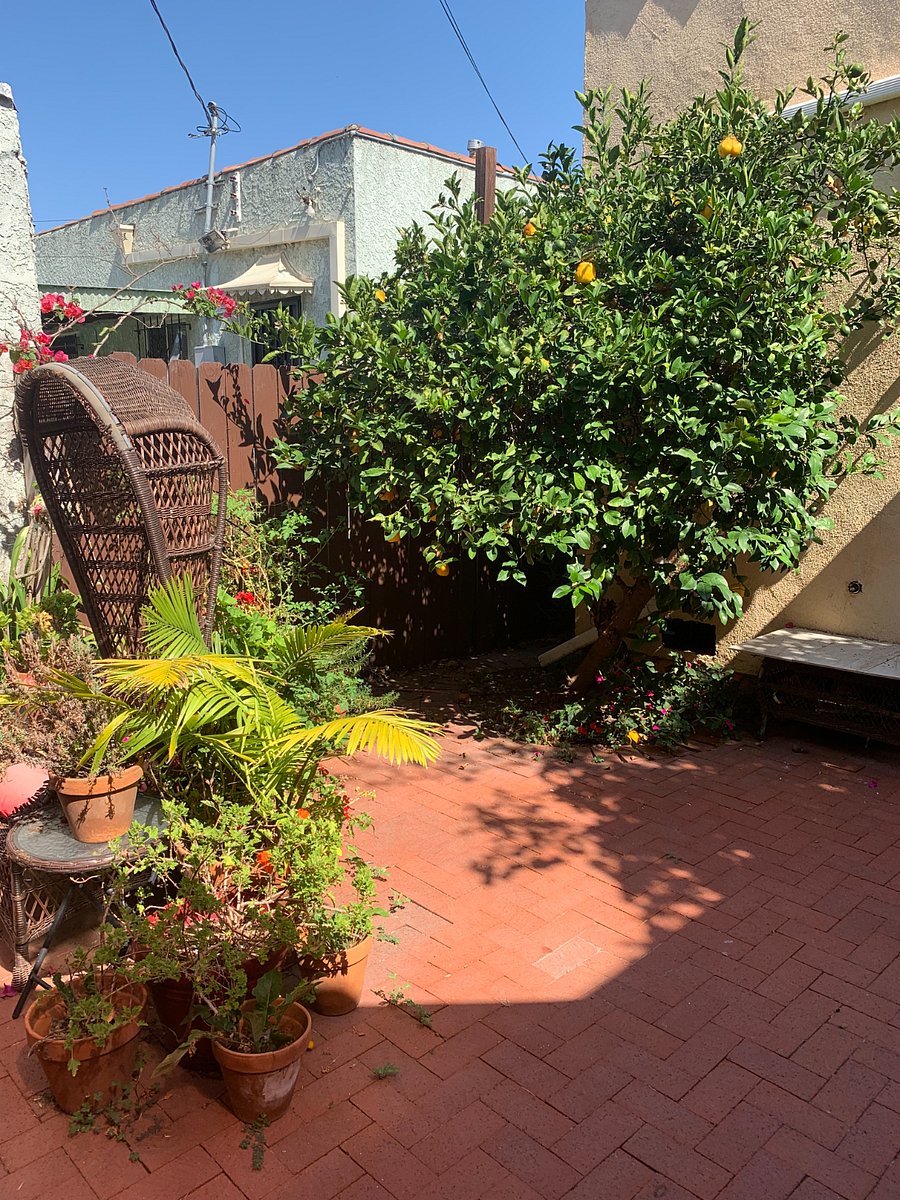 Furnished Finder property 723551_1 photo 15