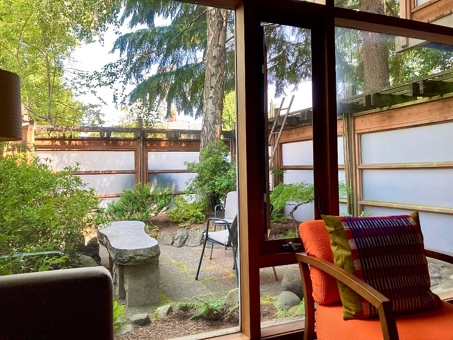 view to the outside garden