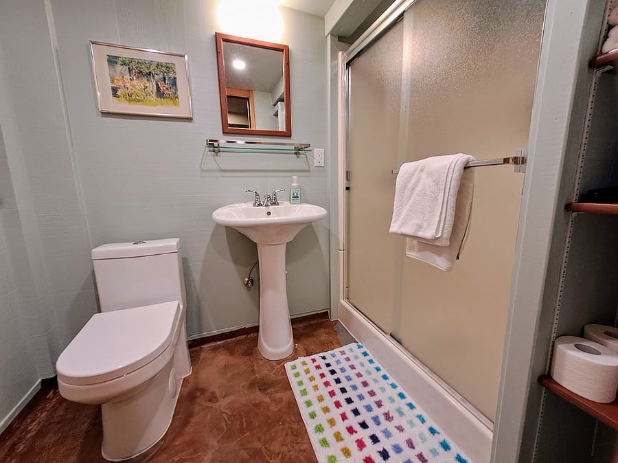main bathroom with shower, extra shelves