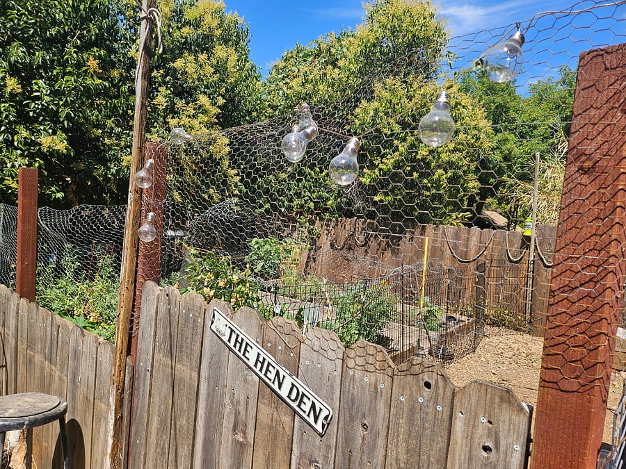 Garden area