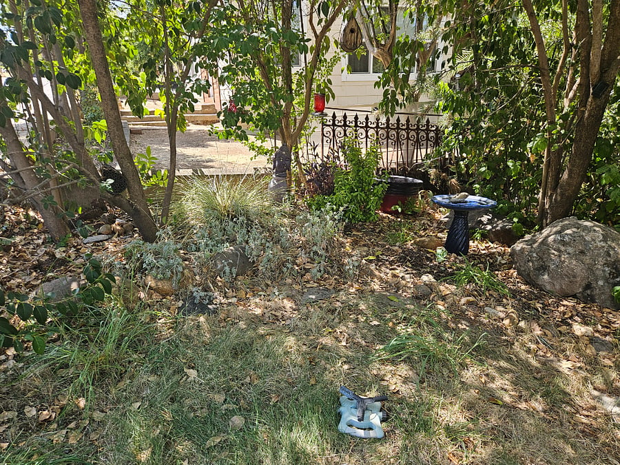 Front yard