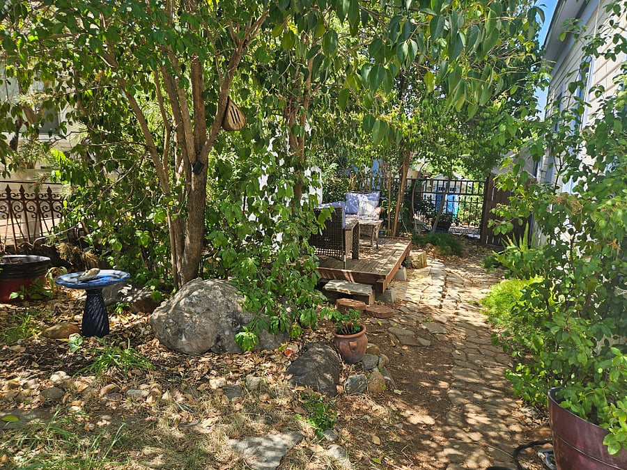 Side yard