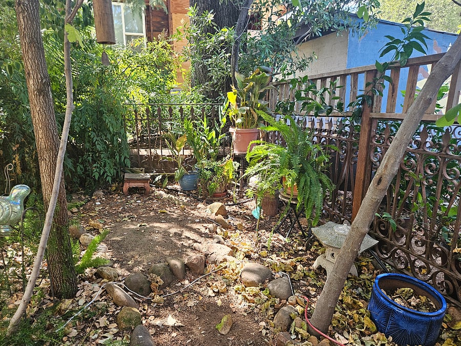 Zen garden