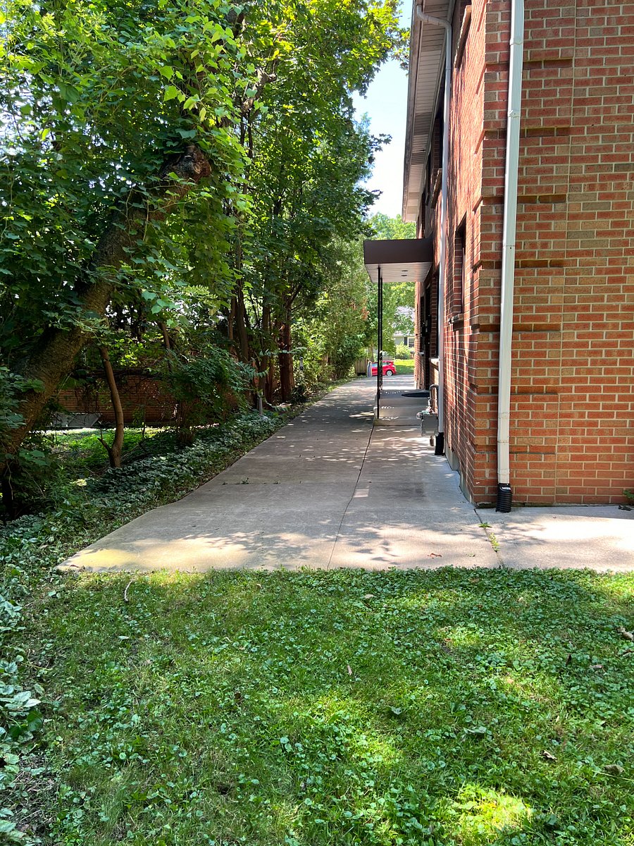 The entrance to our building from the back yard