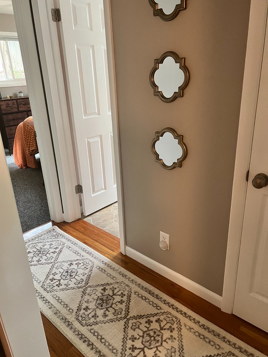 Hallway leads to rear bedroom and bathroom.