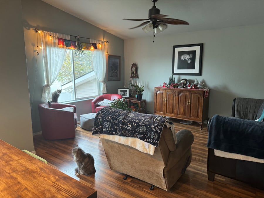Furnished Finder property 724137_1 photo 11