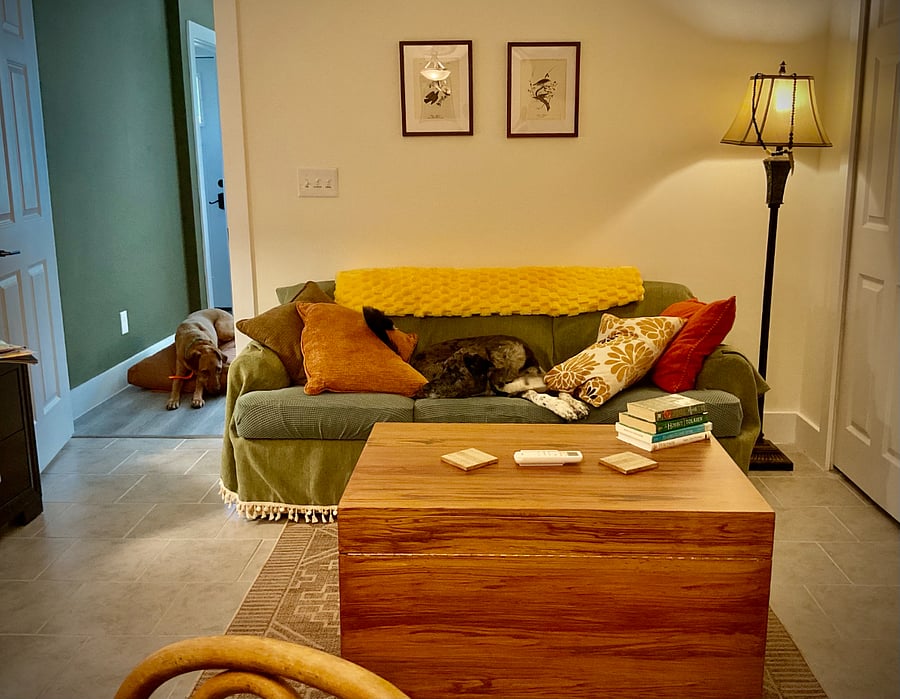 Furnished Finder property 724533_1 photo 12