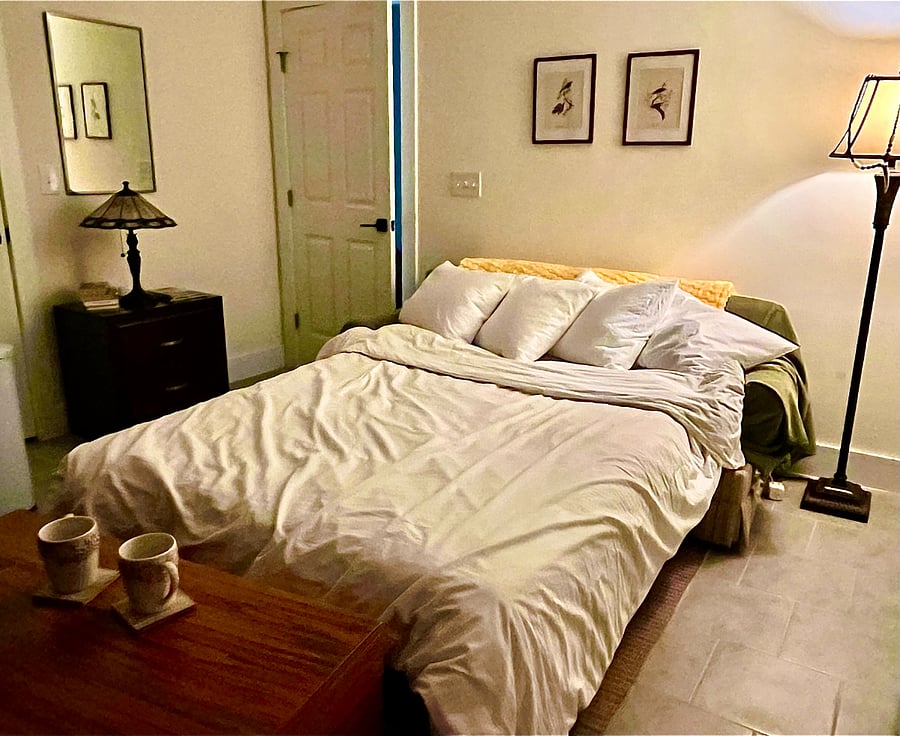 full size pull out couch with linens
