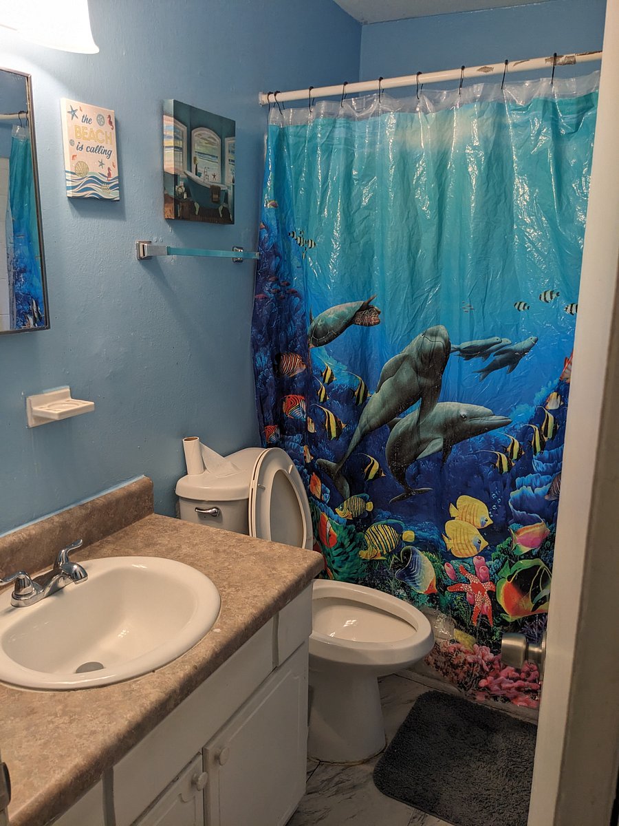 Furnished Finder property 724539_1 photo 13