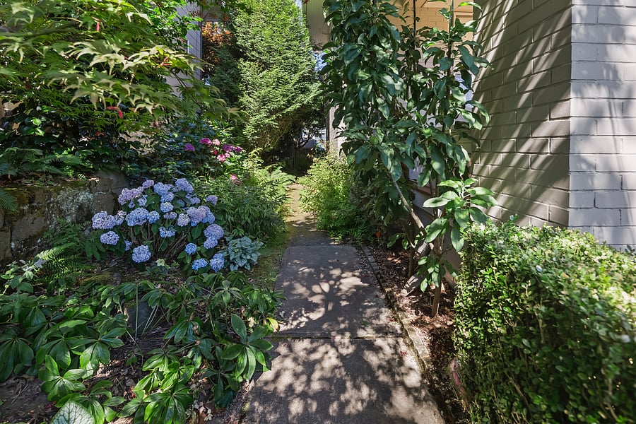 Path to entrance, from front of house.