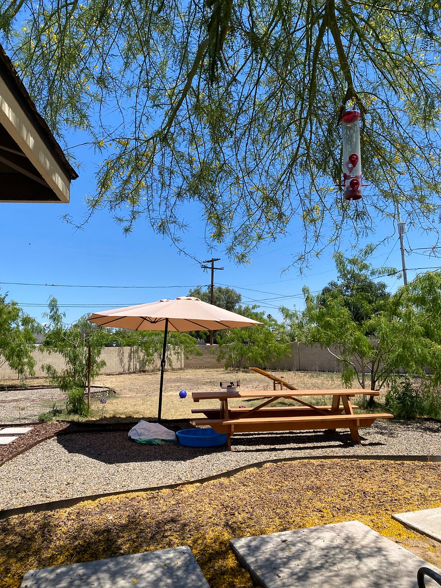 extra large shared backyard for tenant and owner