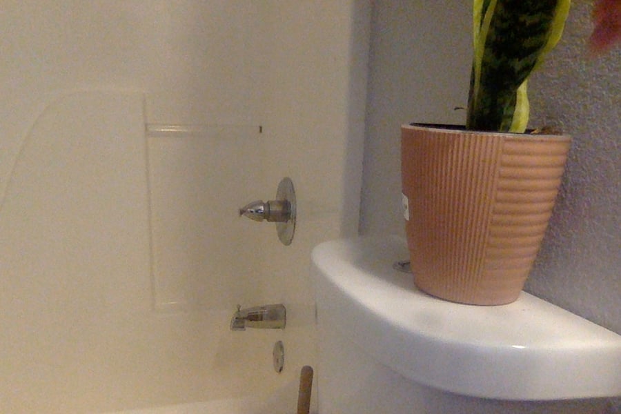 "Private Show, bathroom.