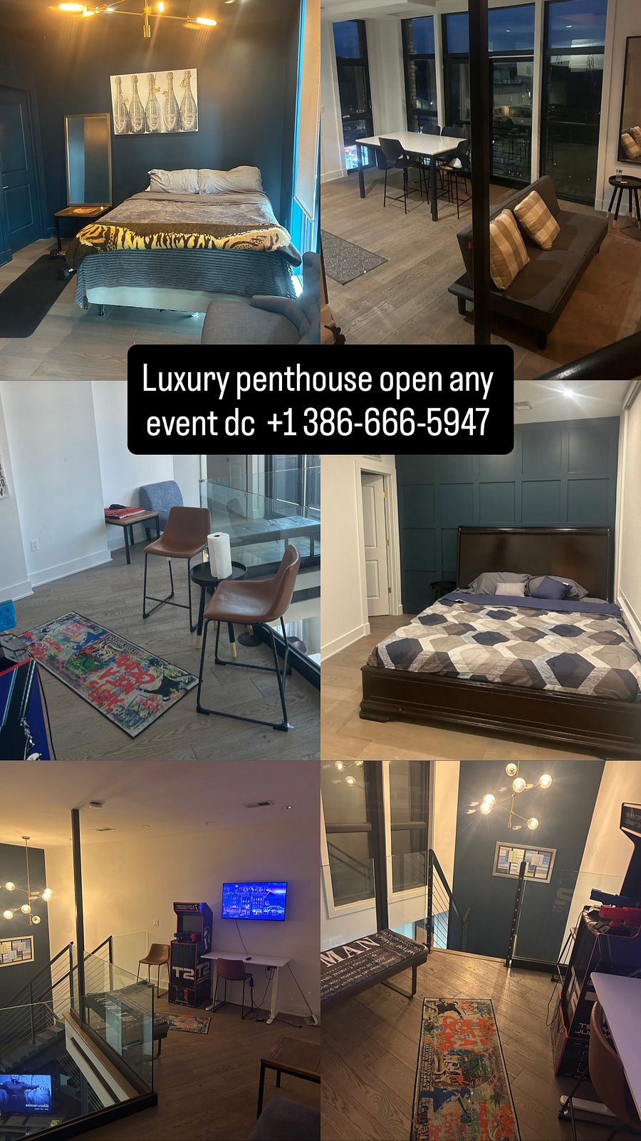 Furnished Finder property 724753_1 photo 3