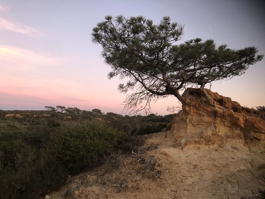 Yucca Point Trail, one of eight rails varying in length and difficulty.