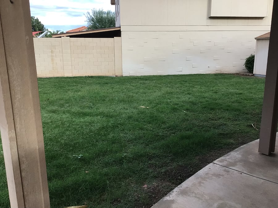 Yard