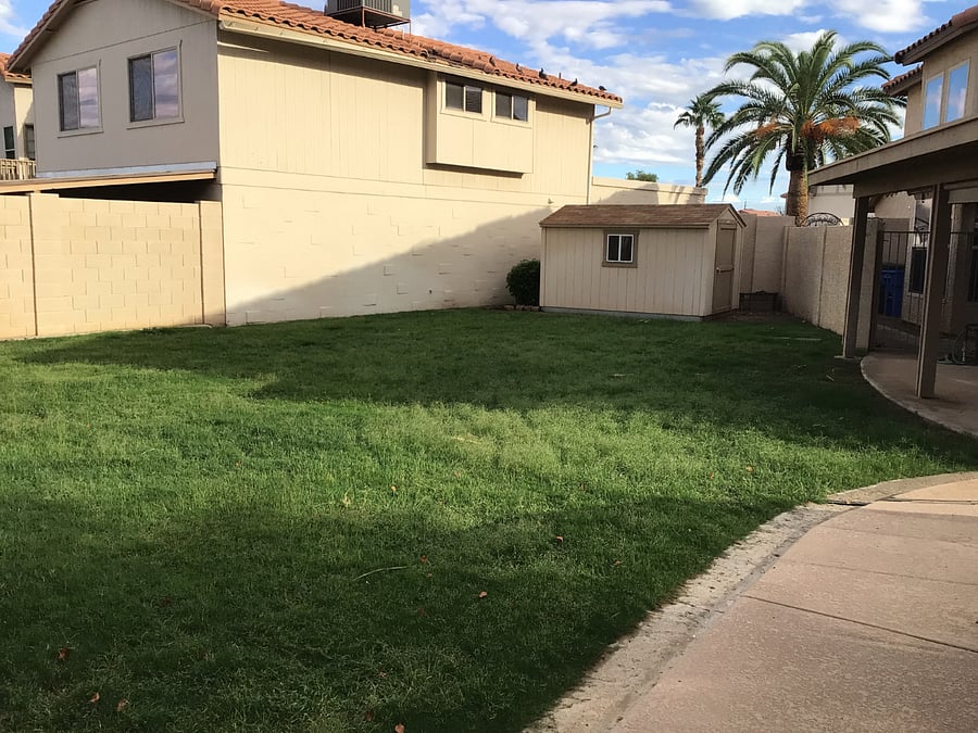 Yard