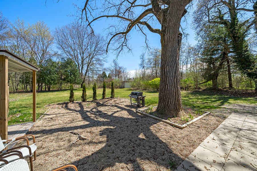 Back yard